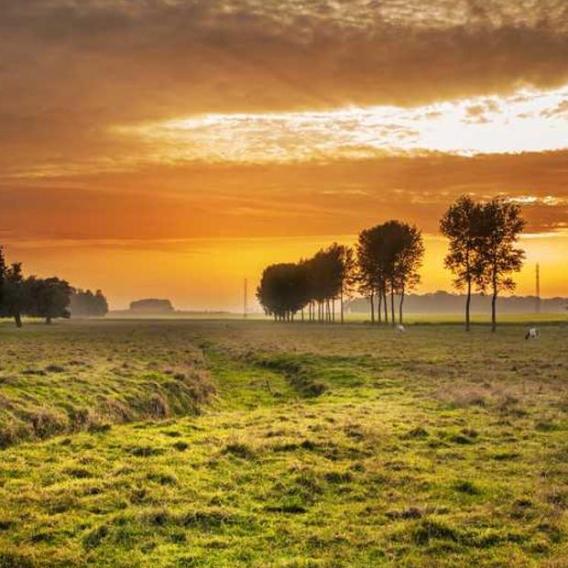 This is a placeholder image.