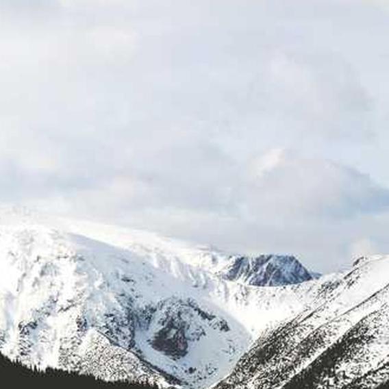 This is a placeholder image.