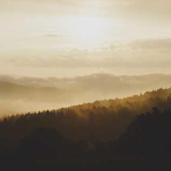 This is a placeholder image.