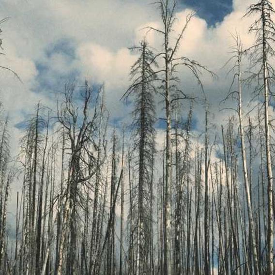 This is a placeholder image.